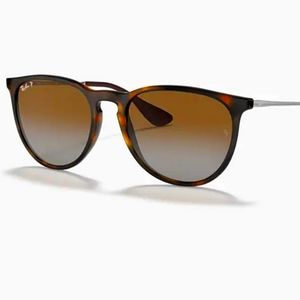 Ray-Ban Polarized Erika Classic Sunglasses